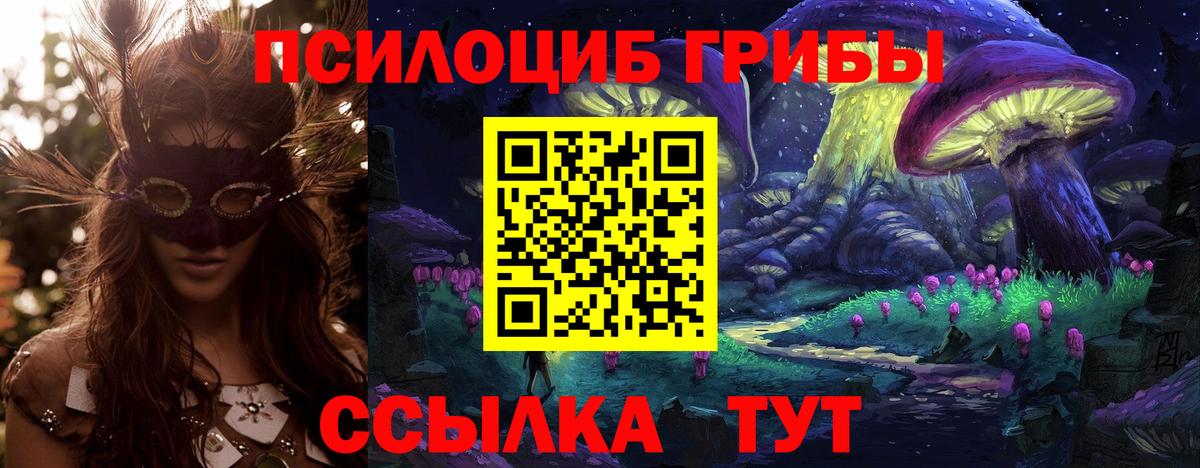 Псилоцибиновые грибы MAGIC MUSHROOMS  Псилоцибиновые грибы GOLDEN TEACHER  Обнинск  Вход с VPN 